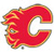 Calgary Flames 678750