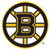 Boston Bruins 307803